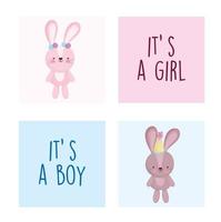 Baby reveal card with cute little rabbits vector