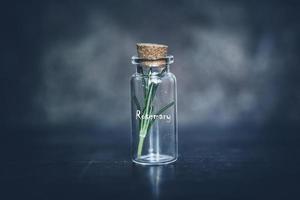 Corked bottle with rosemary photo