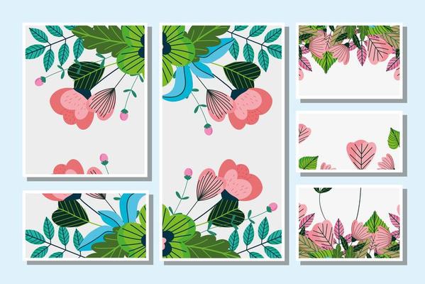 Set of beautiful floral cards template