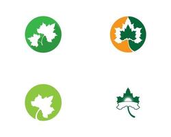 Maple leaf logo icon set vector