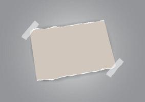 Torn paper and tape vector