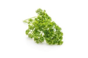 Fresh Parsley on white photo