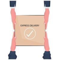 Express delivery hands holding a box vector