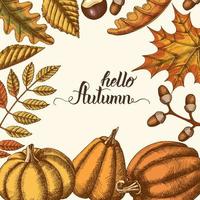 Autumn background with hand drawn leaves and pumpkins vector