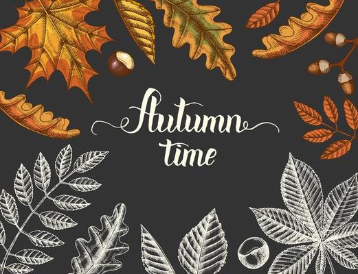 Vintage Autumn background with hand drawn leaves