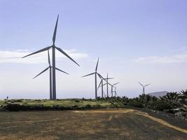 wind turbines farm photo