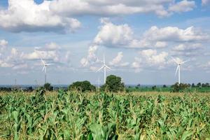 Wind Turbine for alternative energy on background sky on Cassava