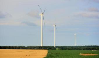 Wind turbines in a field photo