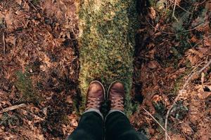 Person standing on mossy log photo