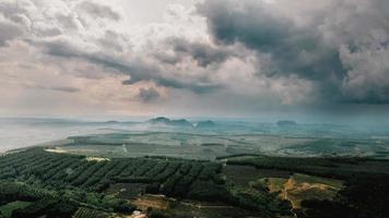 campos verdes y granjas bajo el cielo nublado foto