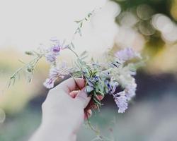  Purple petaled flower photo