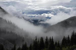valle cubierto de niebla foto