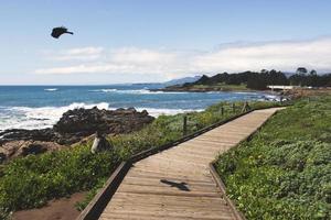 paseo marítimo de madera cerca de la playa foto