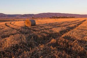 Hay under a clear sky photo