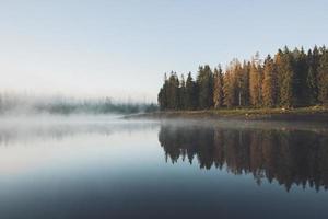 Trees reflected in misty water photo