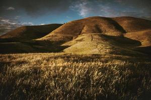 Grassy hill at sunset photo