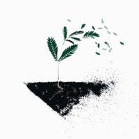 Green leaf plants on black soil illustration photo