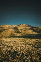 campo cerca de colinas bajo un cielo azul foto