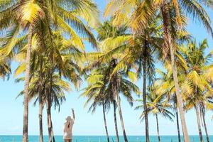Mujer de pie entre palmeras en la playa