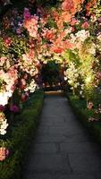 Gray concrete pathway  photo