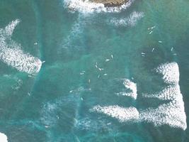 Ocean under sunny sky photo