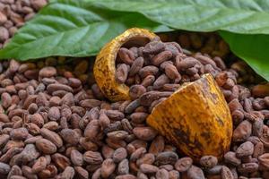 granos de cacao y frutos de cacao foto