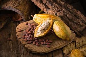 granos de cacao crudo y mazorcas de cacao foto
