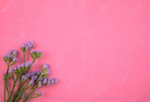 Top view of purple flowers on pink background photo