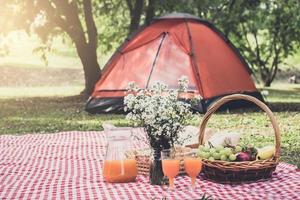 picnic en la naturaleza foto