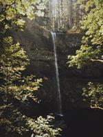 cascadas rodeadas de árboles foto