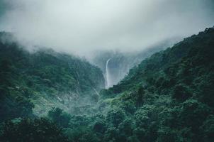 Lush green forest with waterfall  photo