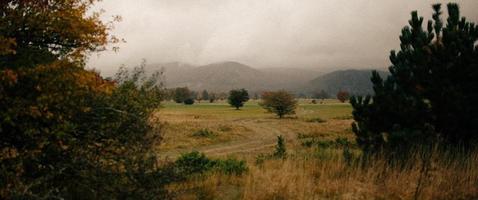 Foggy view of grass field photo