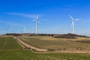 wind farm photo