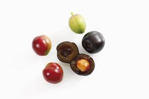 frutos de laurel cereza (prunus laurocerasus)