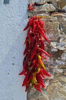 Red hot peppers hanging on the wall. photo