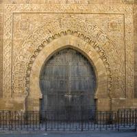 Old moroccan door photo