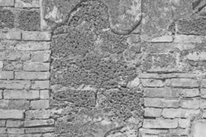 White brick wall and laterite stone photo