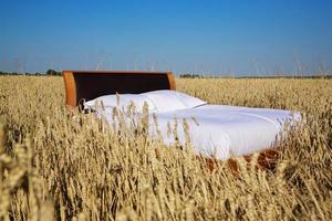 bed in a grain field- concept of good sleep photo