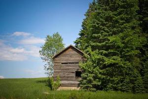 Old Wood Small Cabin besides green trees photo