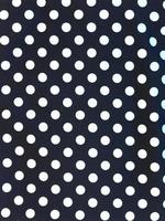 Polka Dot Background photo