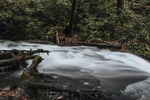 Time lapse of river near trees photo