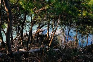 Trees and rocks by body of water photo