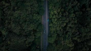 Aerial view of road surrounded by trees photo