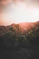 Plants near mountain under cloudy sky photo