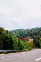 Railroad bridge among trees next to road photo