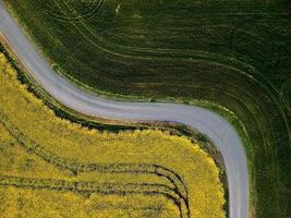 Aerial view of road through fields photo