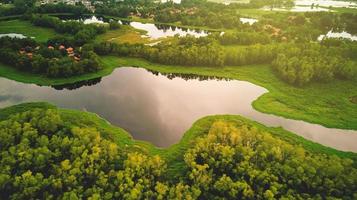 Aerial view of lake and trees photo