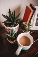 Cacti in ceramic pots with coffee mug photo