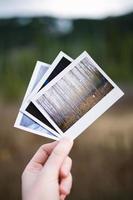 Person holding three assorted pictures photo