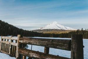 Brown wooden fence near Mt Hood, Oregon photo